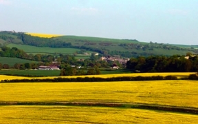 A view towards Cerne Abbas