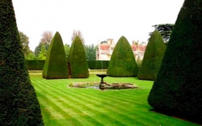 Athelhampton